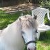 David Pay - Facebook