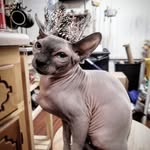 David Peabody - @_david_peabody - Instagram