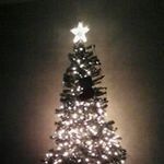 david peabody - @peabody.david - Instagram
