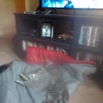 David Peabody - Facebook