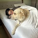 David Peabody - @davedaave - Instagram