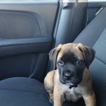 David Pearse - @pearse.david - Instagram