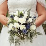 David Pearse Wedding Photography & Video - @davidpearsewedding - Instagram