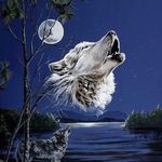David Peddie - @david.peddie.77 - Instagram