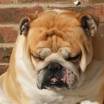 David Pedrick-Friend - @pedrickfriend - Instagram