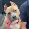 David Andrew Peel - @david.andrew.peel - TikTok