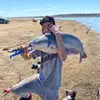 David p - @davidpeel47 - TikTok