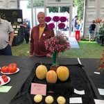 David Peel - @david.peel.77377 - Instagram