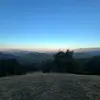 Davidpeeler21 - @davidpeeler21 - TikTok