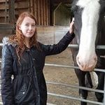 David Peers - @david_peers - Instagram