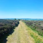 David Peevers - @dapeev - Instagram