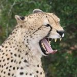 David Pegg - @dpegg.yvonne - Instagram