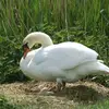 davidpegg63 - @davidpegg63 - TikTok