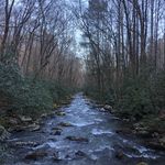 David Peoples - @david.peoples - Instagram