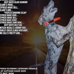 David Peoples - @dinosaur.2461598 - Instagram