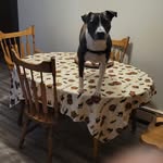 Jeffrey David Perini - @jeffrey_perini - Instagram