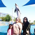 David Perks - @perks483 - Instagram