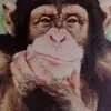 David Perks Jinks - @david.perks.jinks - TikTok
