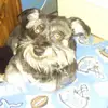 david perla - @daviid3852 - TikTok
