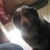 David Person - Facebook