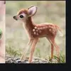 David.perterson - @david.person - TikTok