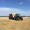 David Persson - @davidpersson4 - TikTok
