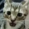 David pesqueira - @david_p_souza - TikTok