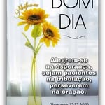 Jeane Araújo - @davidpesqueira1818 - Instagram