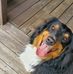 David Phalen - Facebook