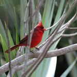 @davidpharo747 - Instagram