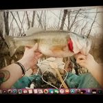 David Boomarang Philbeck - @davidphilbeck - Instagram