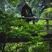 David Philbin - Facebook