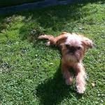 David philpott - @davidphilpott101 - Instagram