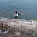 David Phippen - @phippendavid - Instagram