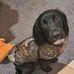 David Phippen - Facebook
