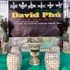 Vườn Lan Kiếm David Phú - @vuon_lan_kiem_david_phu - TikTok