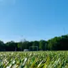 David Phung - @david.phung5 - TikTok