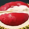 David Phung - @david.phung15 - TikTok