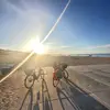 David Piasecki - @penguin.098 - TikTok