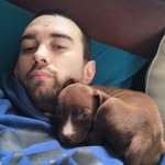 David Piatt - @david.piatt1 - Instagram