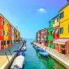 David Picarelli - @david.picarelli - TikTok