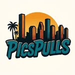 David Piccirilli - @picspulls - Instagram