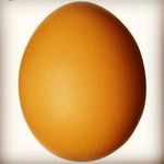David C. - @piccoloprincipedavid - Instagram
