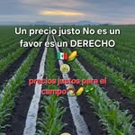 Copeni Sadaret - @davidpicenoestrada - Instagram