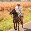 david piceno🫡 - @david.piceno0 - TikTok
