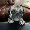 David Pich - @david.pich - TikTok