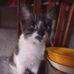 David Pich - Facebook