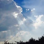 さ - @david_piche - Instagram
