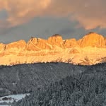 David Pichler - @mynatureblogworld - Instagram