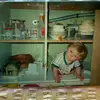 David pickard - @david.pickard - TikTok
